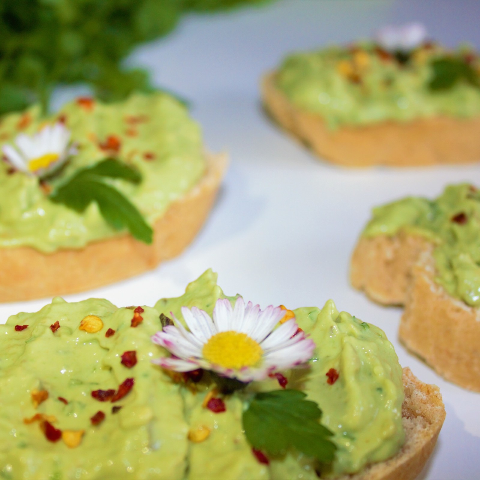 Avocado-Frischkäse-Aufstrich – Vegane Rezepte auf 100Affen.de