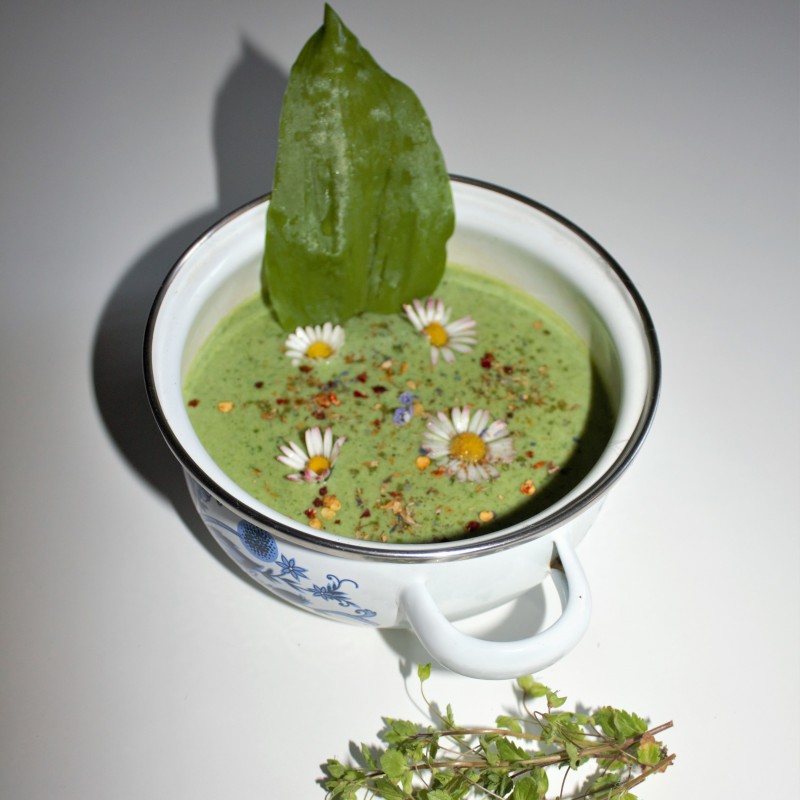 Bärlauchsuppe mit Gänseblümchen