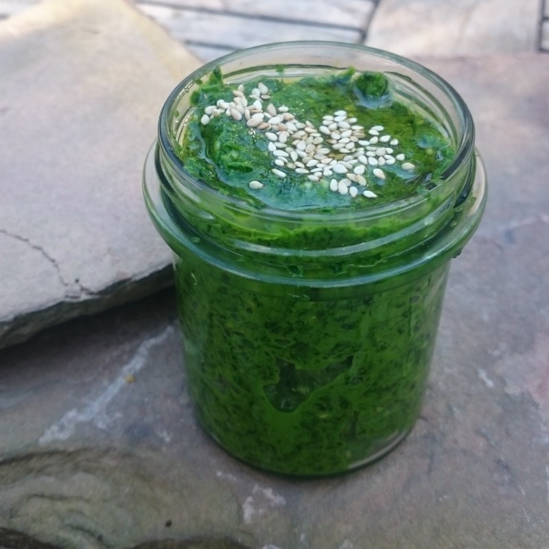 Wildbärlauch - Sesam - Pesto