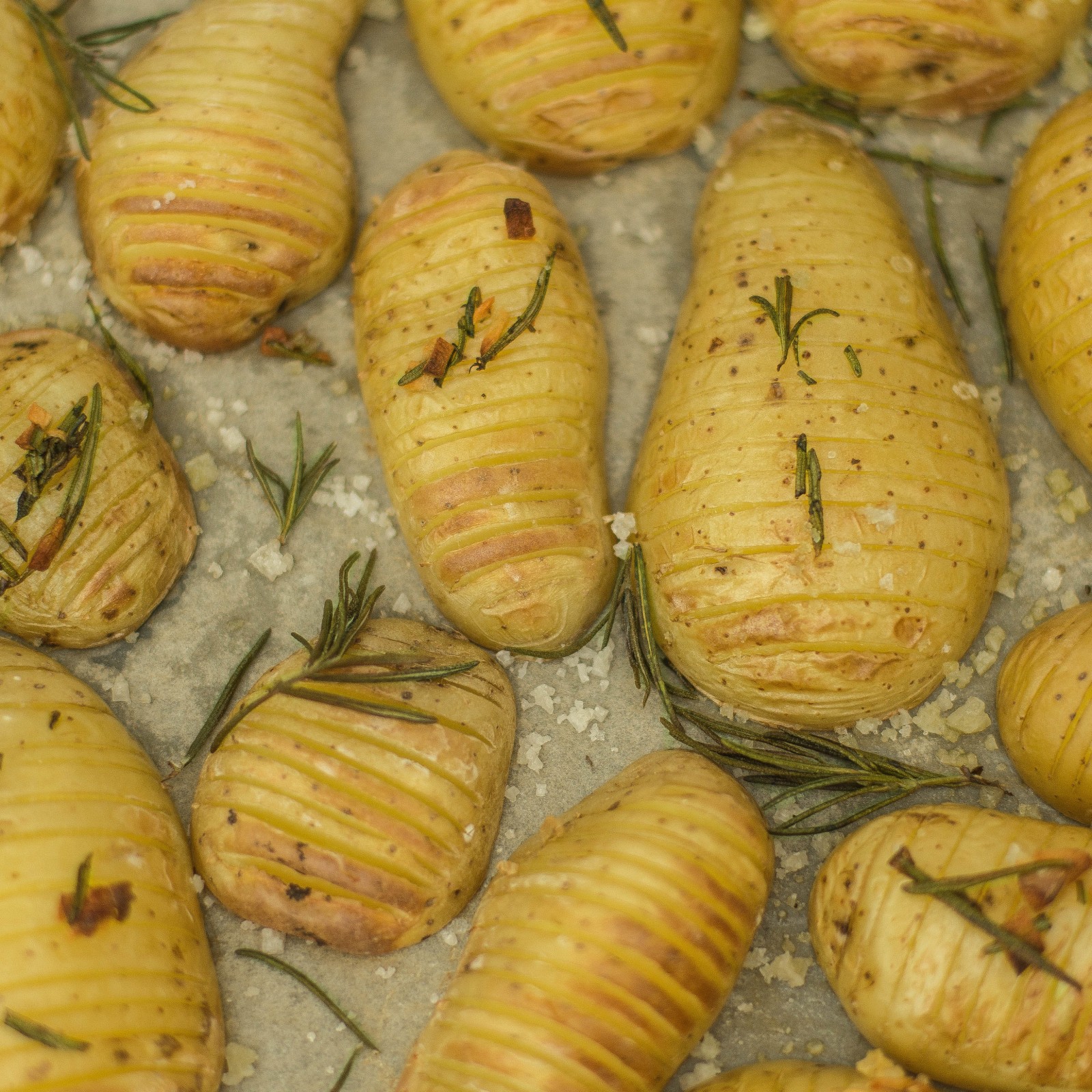 Rosmarin-Kartoffeln – Vegane Rezepte auf 100Affen.de