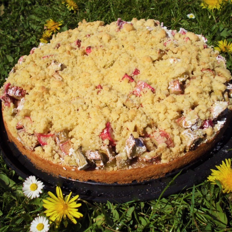 Rhabarber Streuselkuchen – Vegane Rezepte auf 100Affen.de