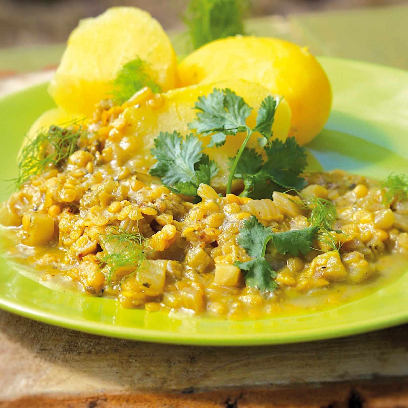 Fenchel-Linsen-Curry – Vegane Rezepte auf 100Affen.de